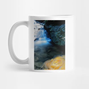 Earth and Water Spirits 8 Mug